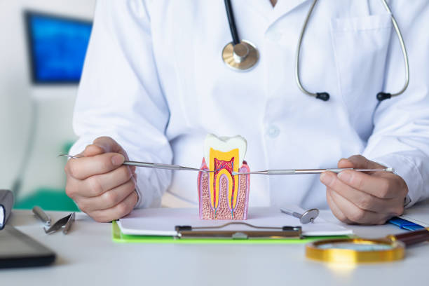 Best Emergency Wisdom Teeth Removal in Vaeboro, NC